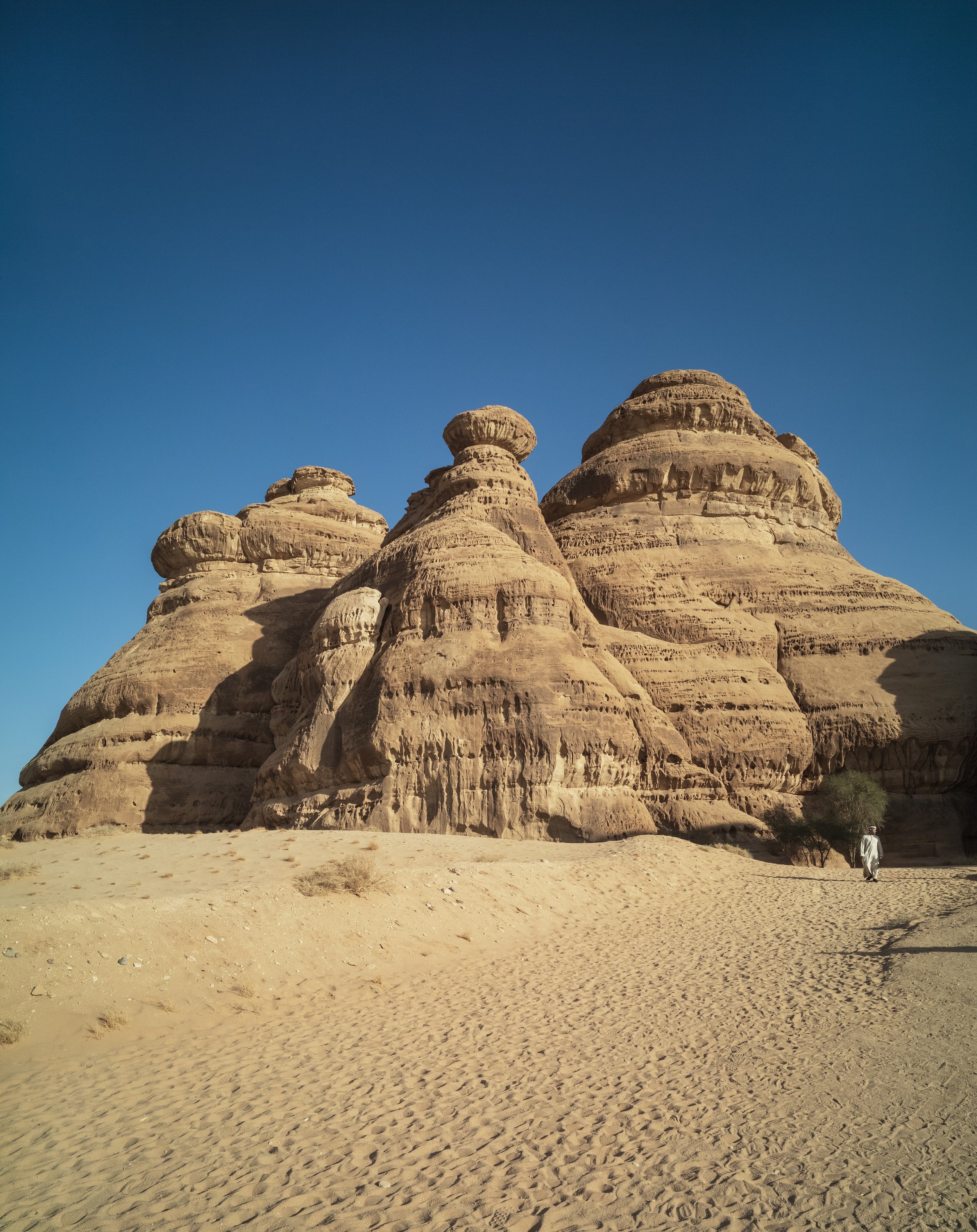 L1002235-2.jpg