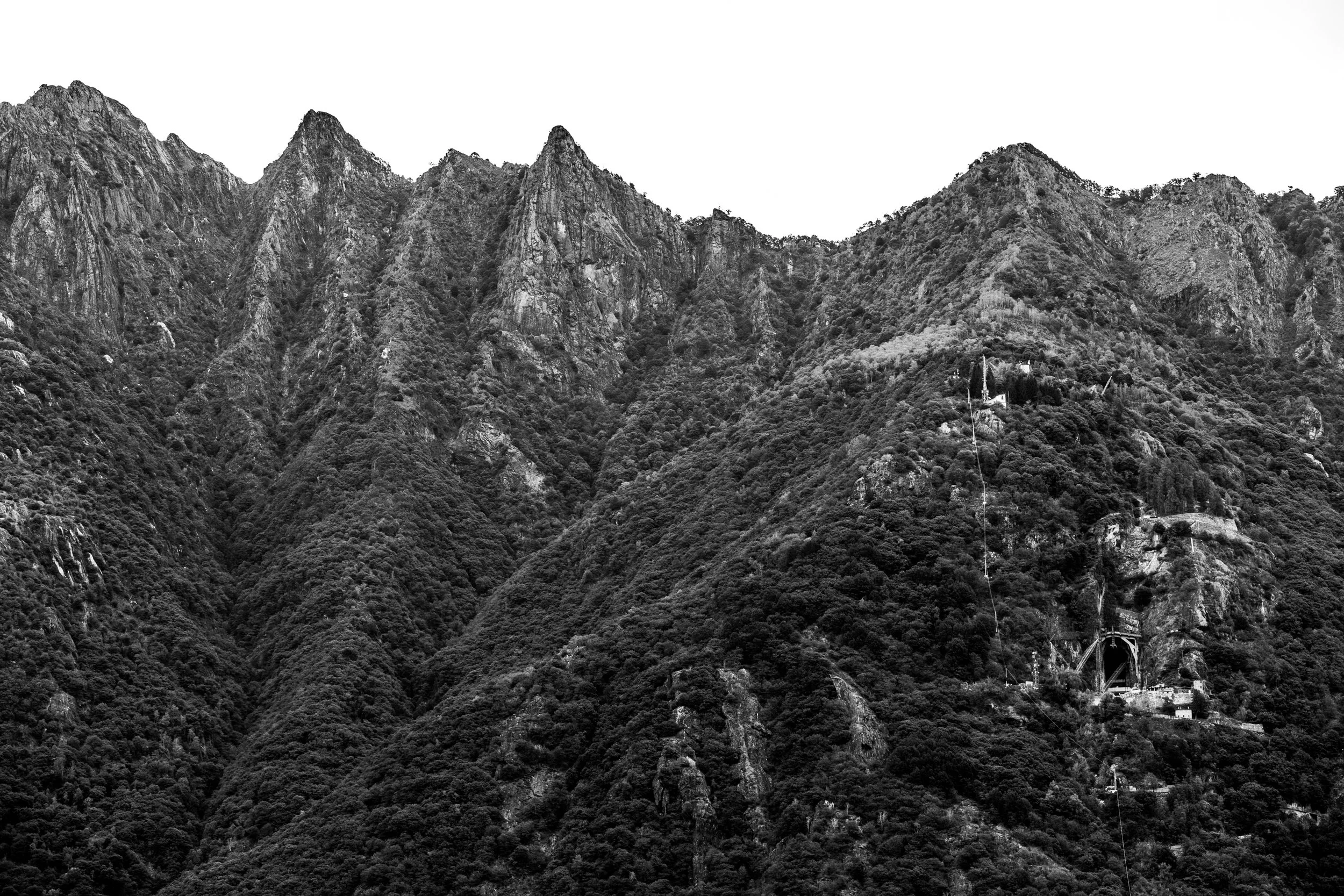 _MG_3477.jpg