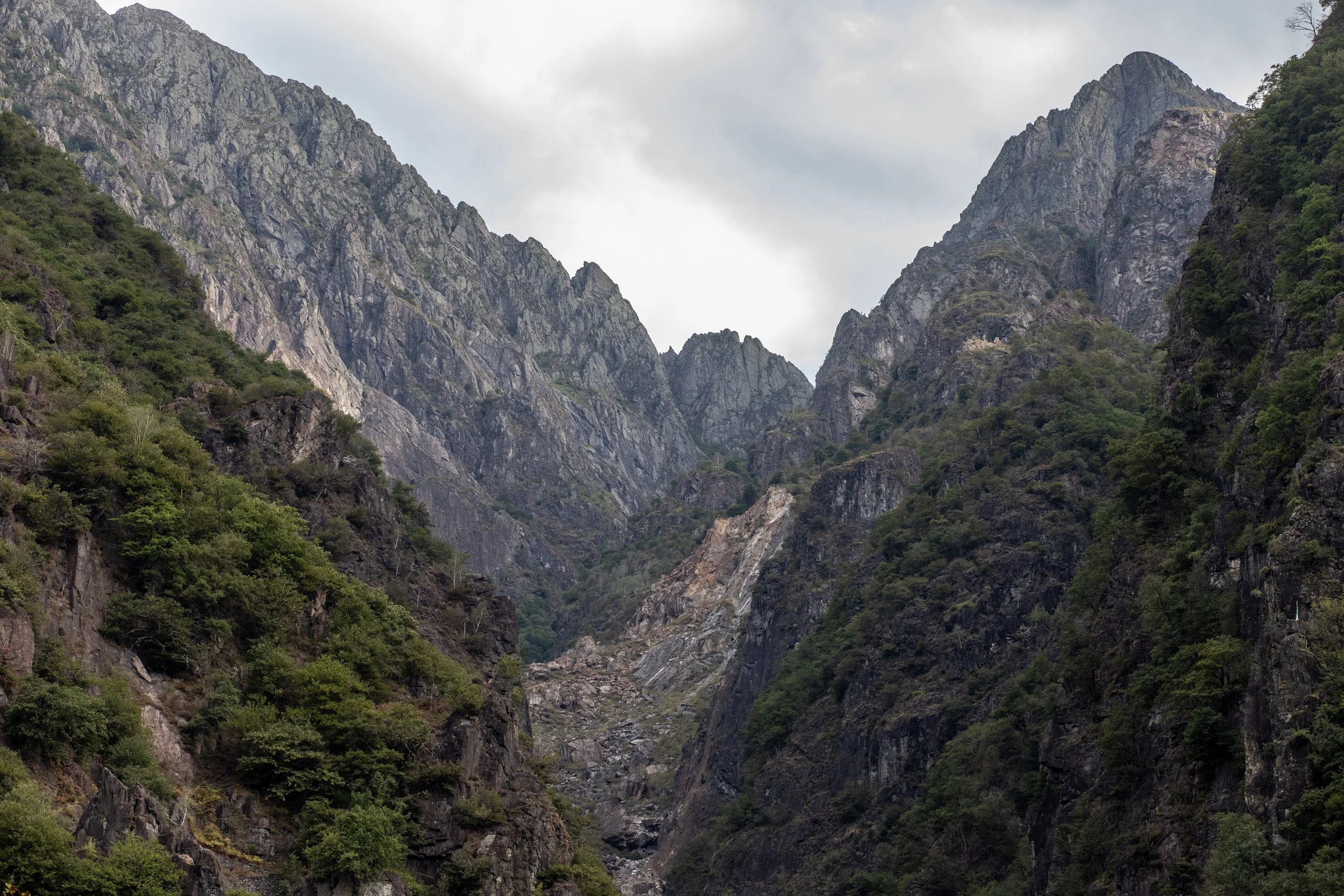 _MG_3505.jpg