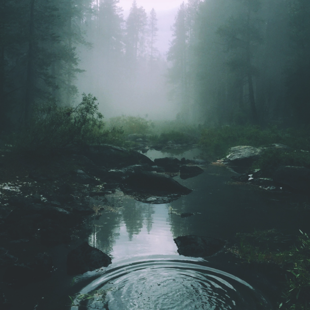 Images-04.png