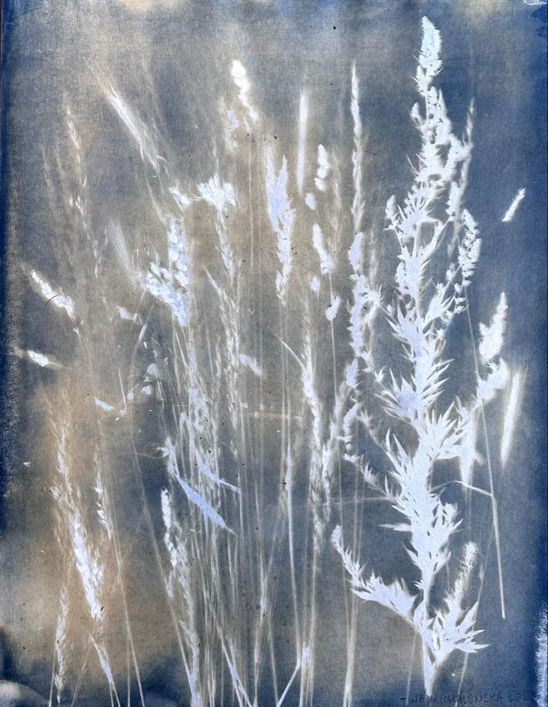 Artwork 2 Liminal ground.jpg