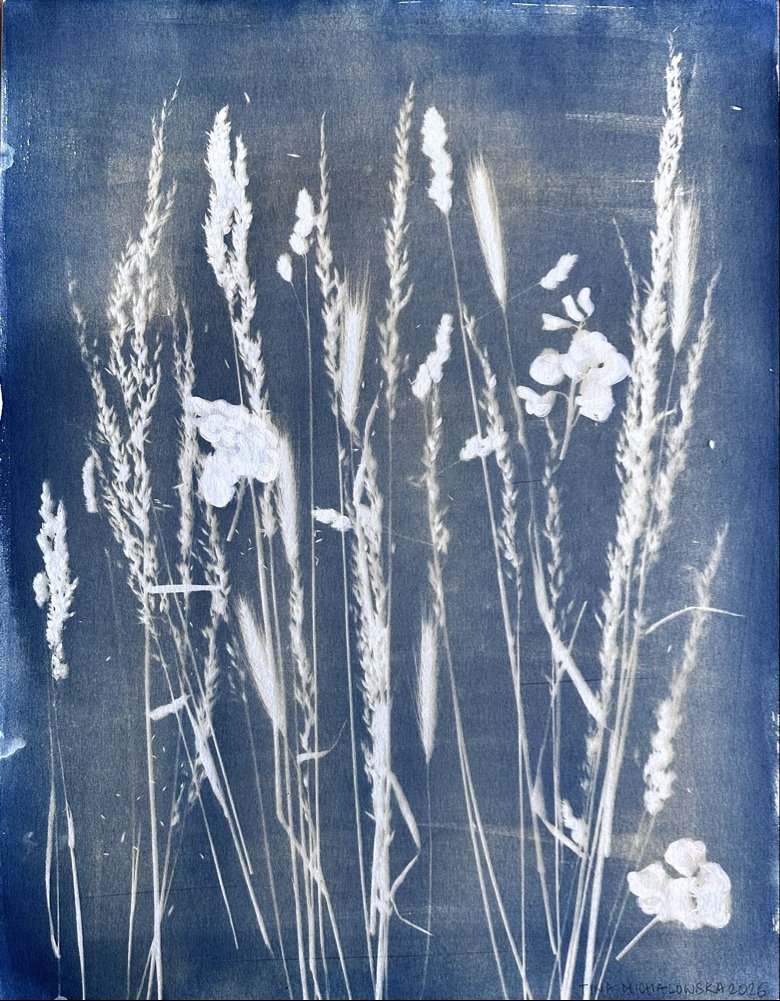 Artwork 1 Passing through mist.jpg
