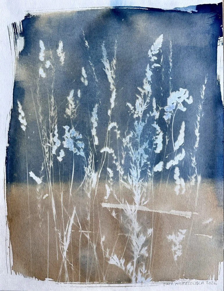 Artwork 3 Nocturnal bloom.jpg
