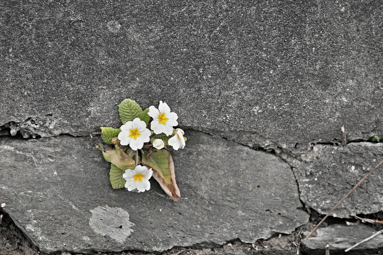 Conscious Leaders Mind the Gap