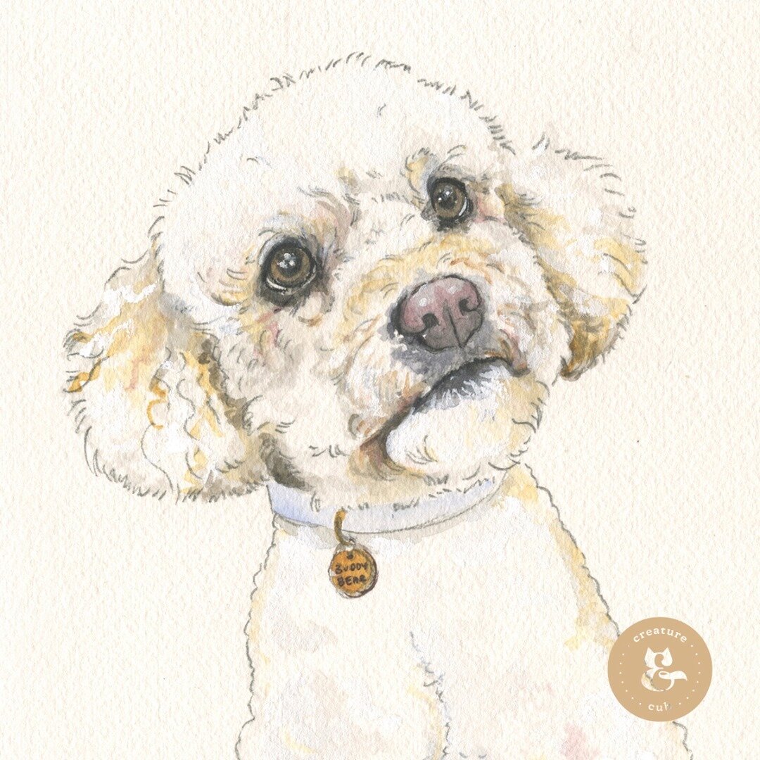 Buddy Bear 👀😍⁠
I could not say no to that face, I'd give him anything he wanted.⁠
.⁠
.⁠
.⁠
.⁠
.⁠
#boop #puppyeyes #pleasesircanihavesomemore #watercolourdogs #thoseeyes #dogsarethebestpeople #petportrait