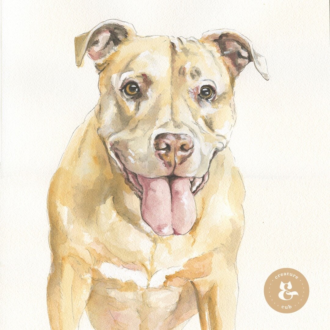 California, a charming girl that is much missed by her family. It was a privilege to paint her portrait.⁠
.⁠
.⁠
.⁠
.⁠
.⁠
#gonebutneverforgotten #alldogsgotoheaven #petloss #petportrait #rainbowbridge #bigdogs #petartist #dogart #puppyeyes