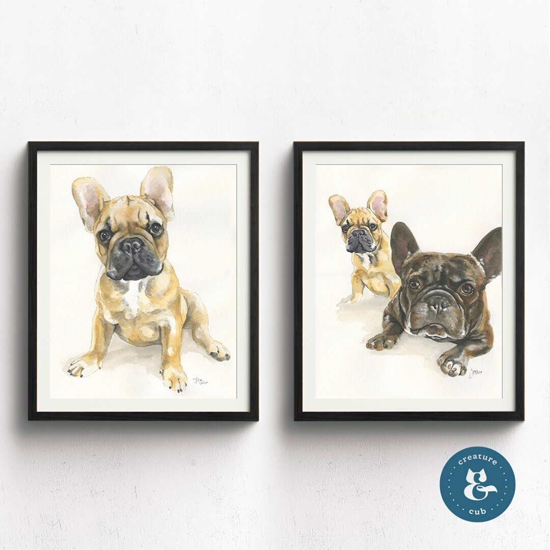 You know how much I LOVE double portraits! Here is a pair of frenchies, I am obsessed with their squishy mouths and big ears 😍⁠
.⁠
.⁠
.⁠
.⁠
.⁠
.⁠
#frenchie #frenchbulldog #frenchbulldogs #frenchiepuppy #perthpets #frenchielovers #perthartist #petart