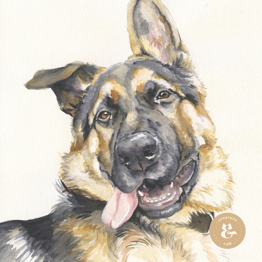 Painted in loving memory of DK the beautiful German Shepherd 😍⁠
.⁠
.⁠
.⁠
.⁠
.⁠
#watercolourdog #animalart #animalartist #petportrait #dogsofinstagram #petsofinstagram #petart #dogart #illustratedpets #watercolour #perthartist #watercolourillustratio