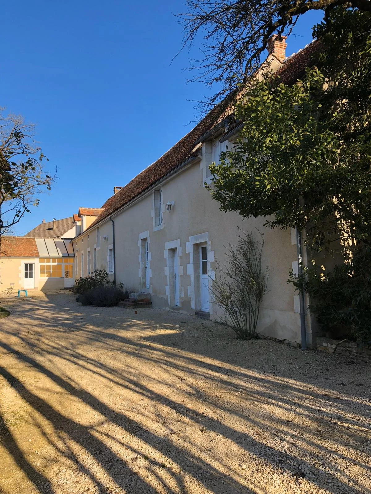 WhatsApp Image 2020-01-23 at 19.49.02 (3).jpeg