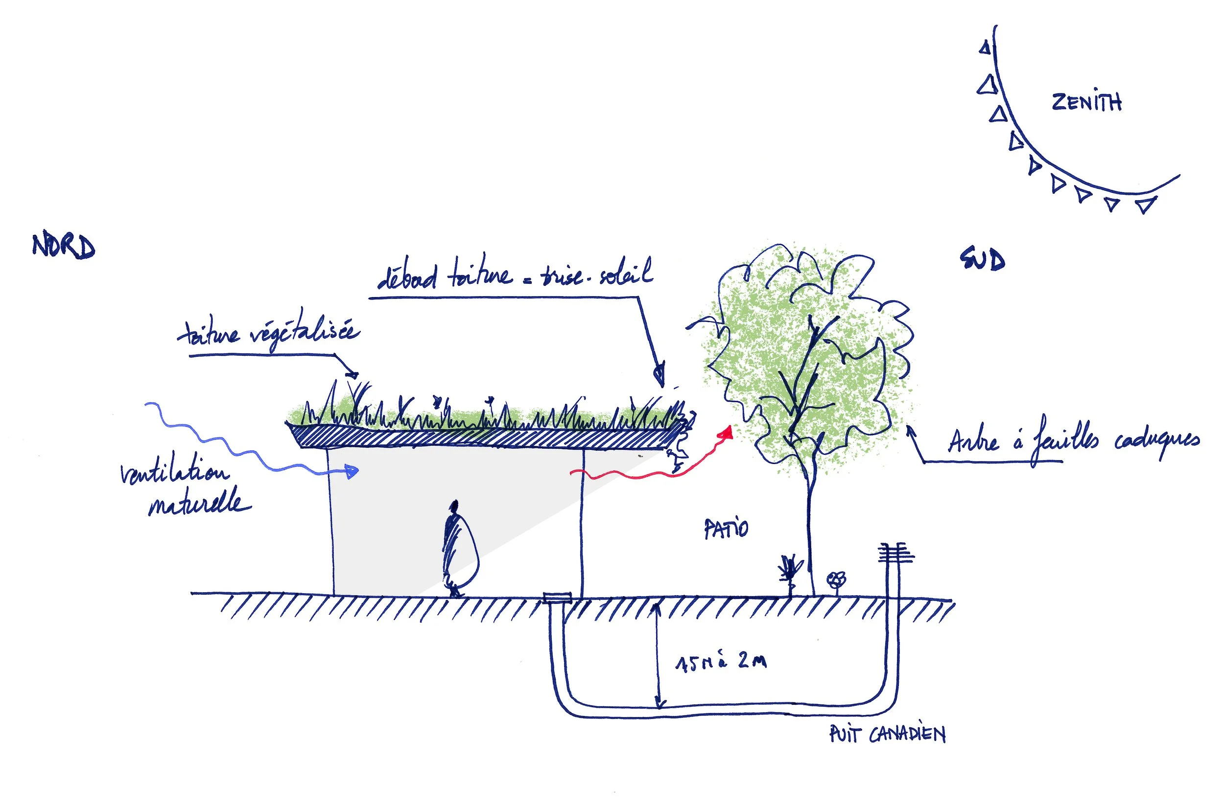 Coupe bioclimatique.jpg