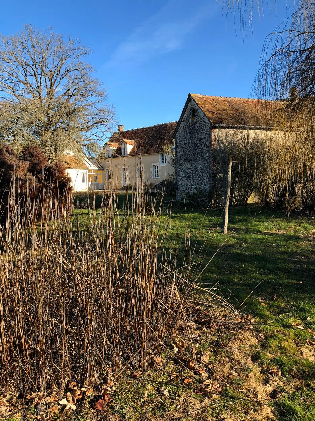 WhatsApp Image 2020-01-23 at 19.49.05 (1).jpeg