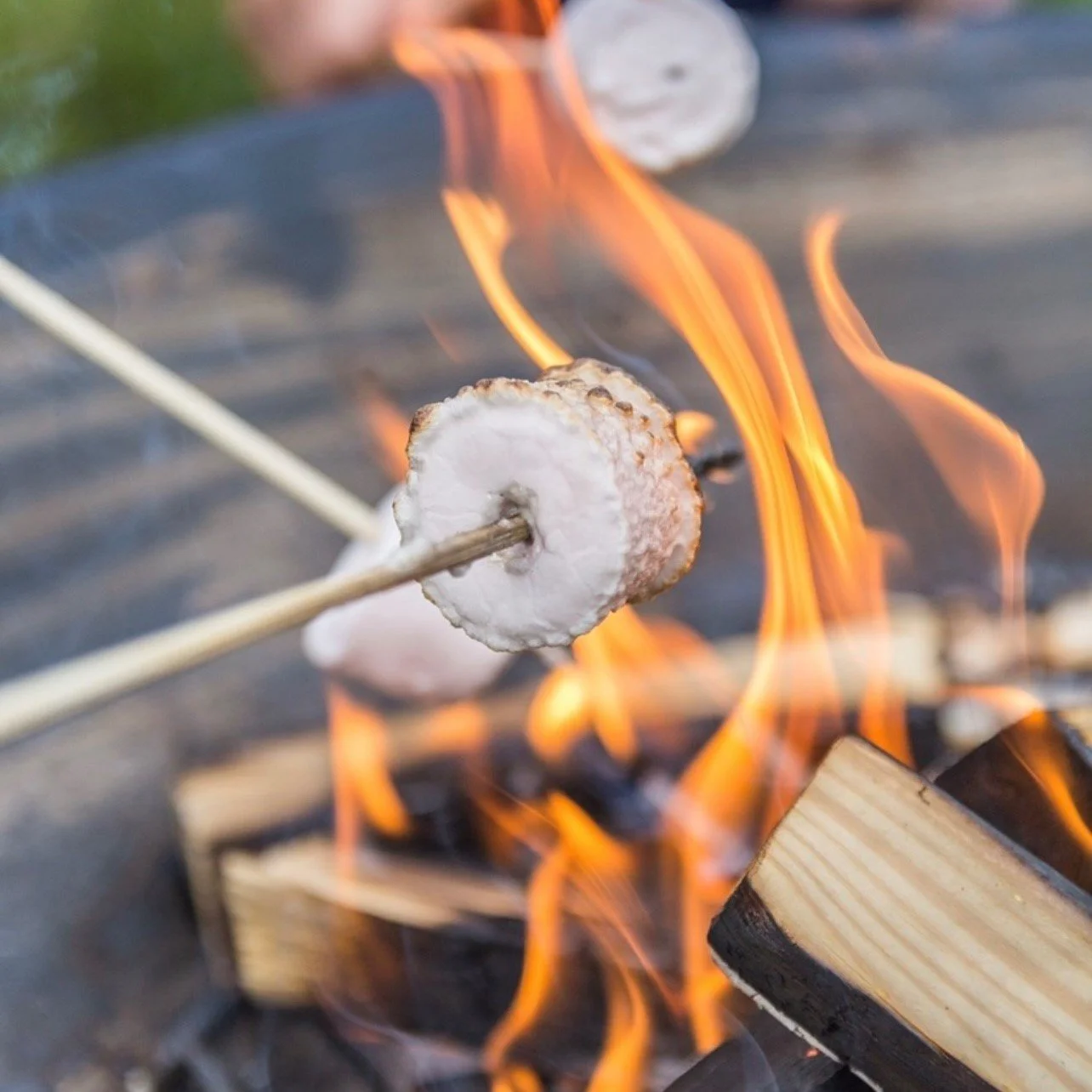 Marshmallows being roasted over an open campfire.