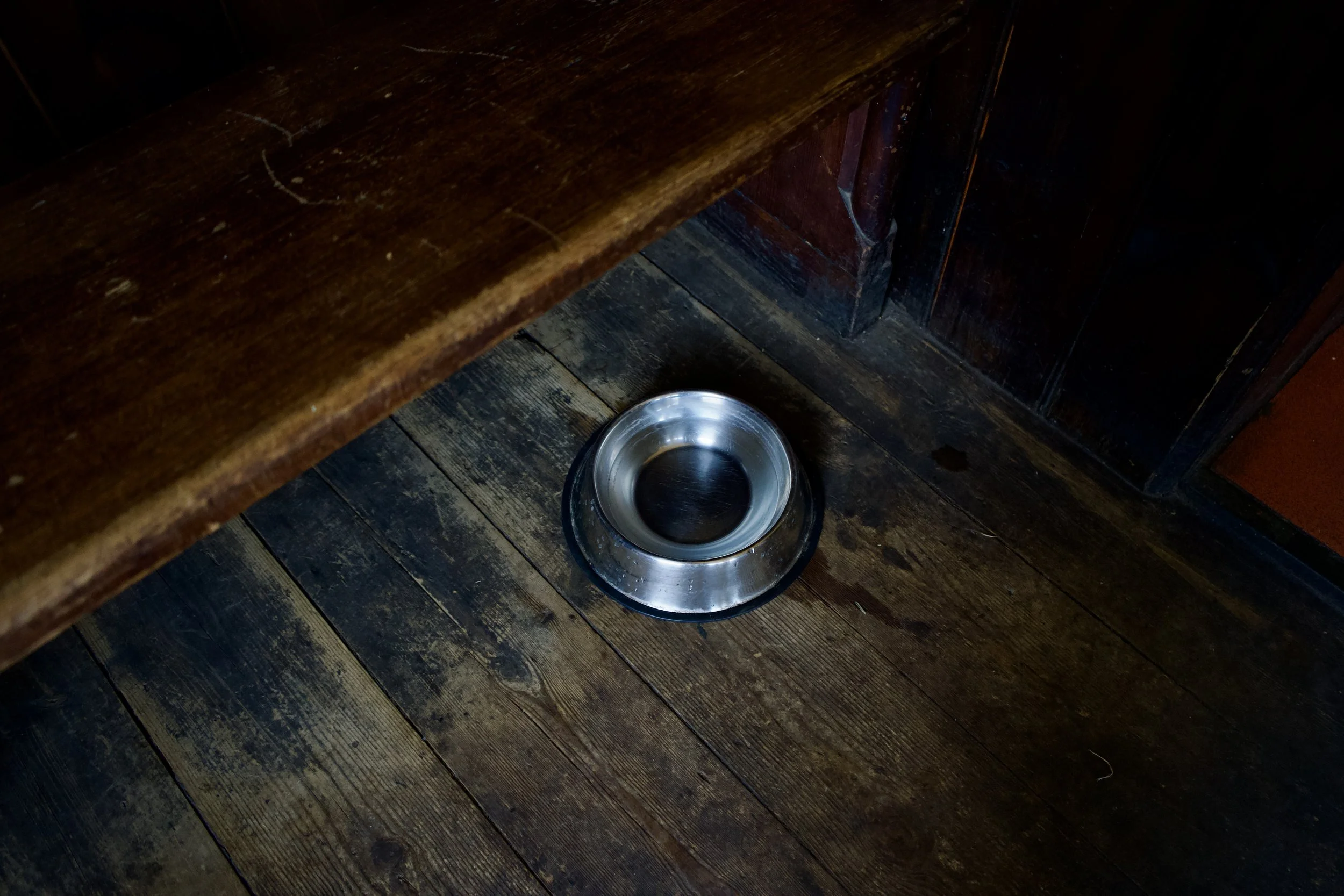 DSC08367.jpeg