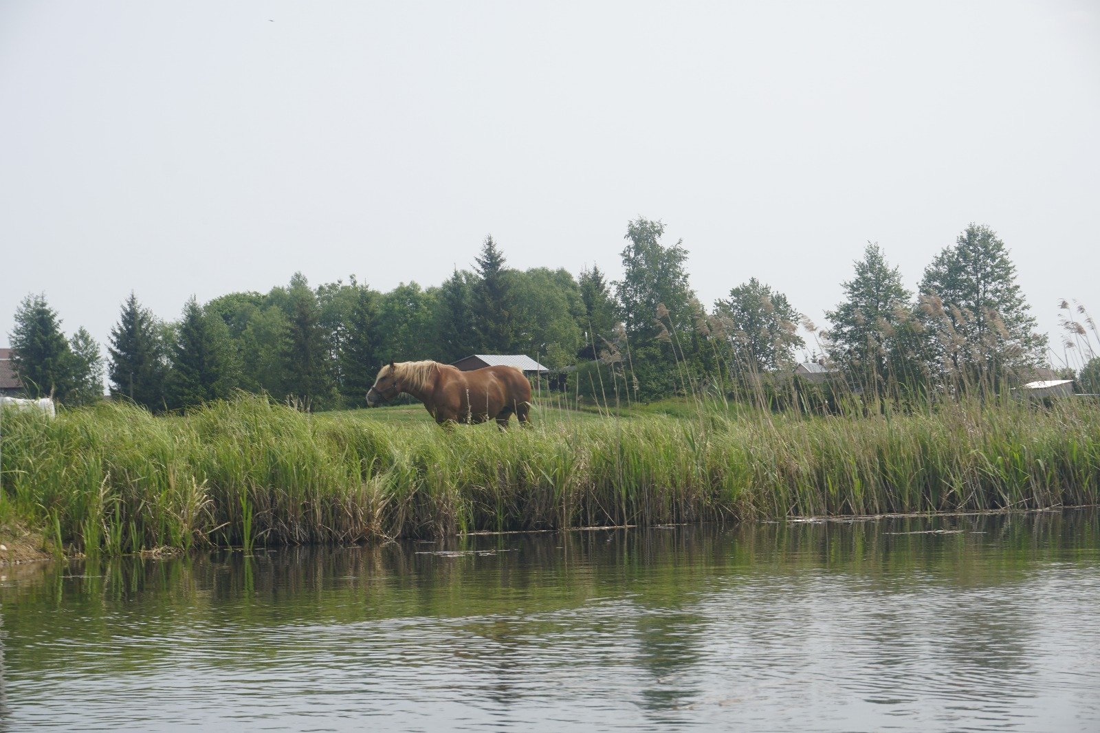 IMG-20250611-WA0067.jpg