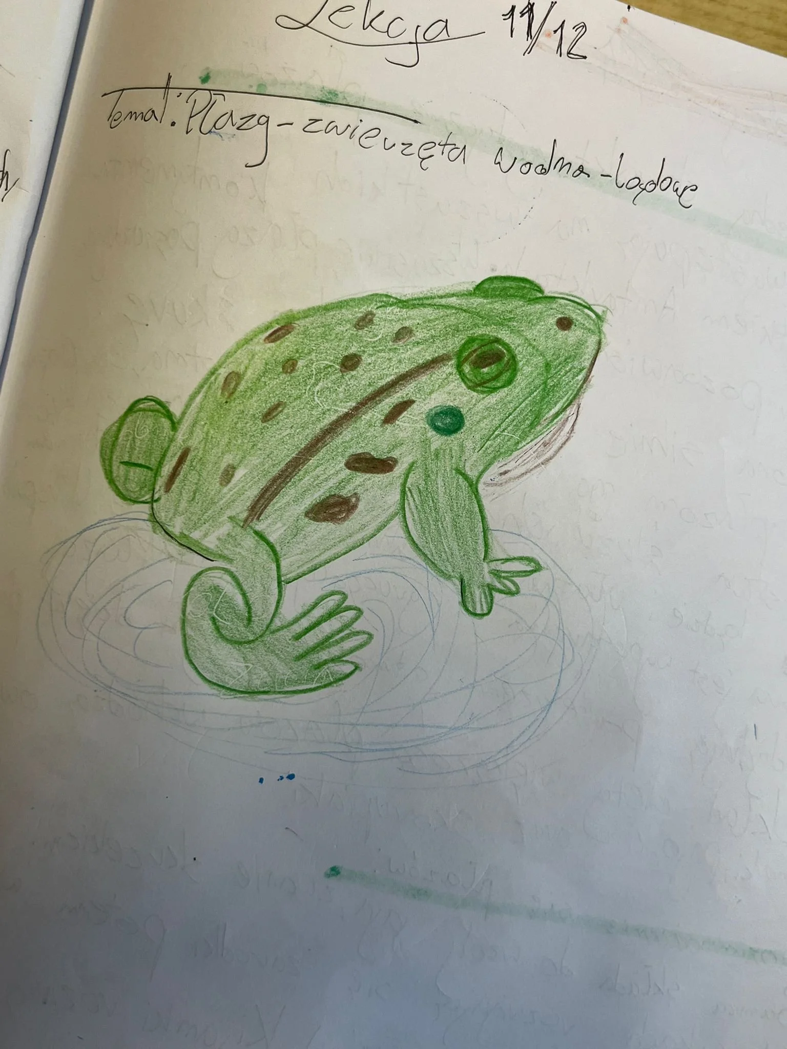 WhatsApp Image 2025-12-11 at 17.58.33.jpeg