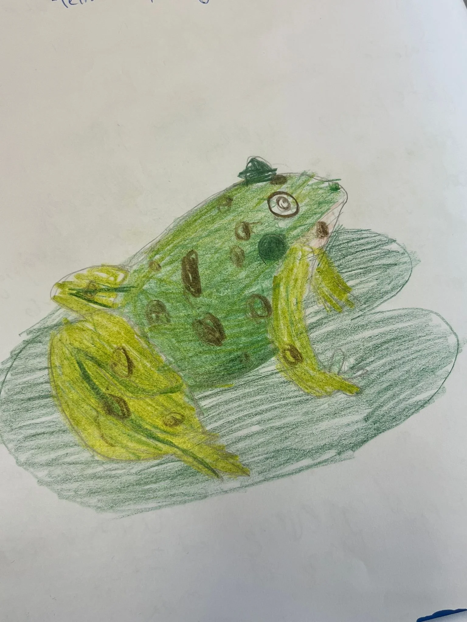 WhatsApp Image 2025-12-11 at 17.58.33s.jpeg