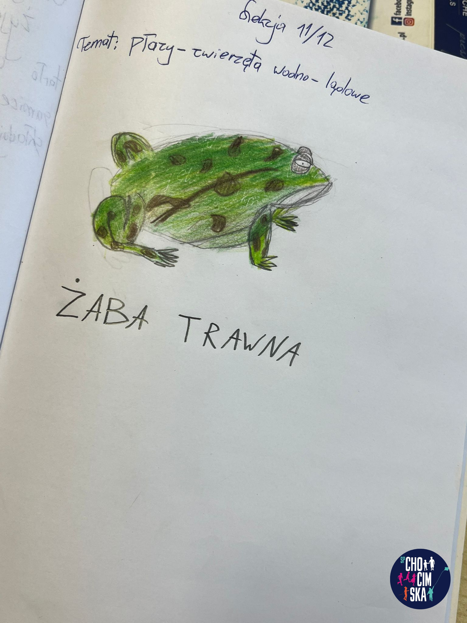 Projekt bez nazwy.png