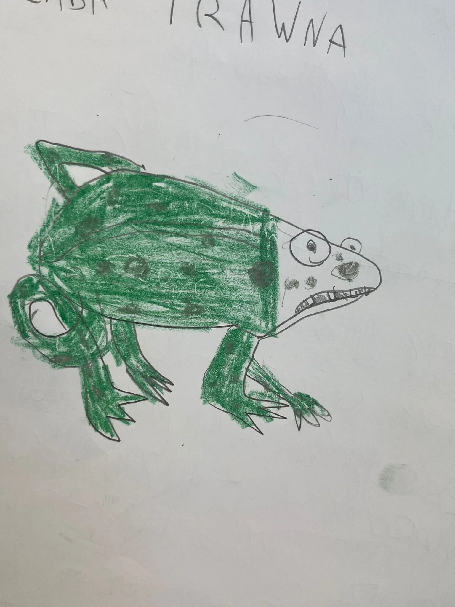 WhatsApp Image 2025-12-11 at 17.58.34.jpeg