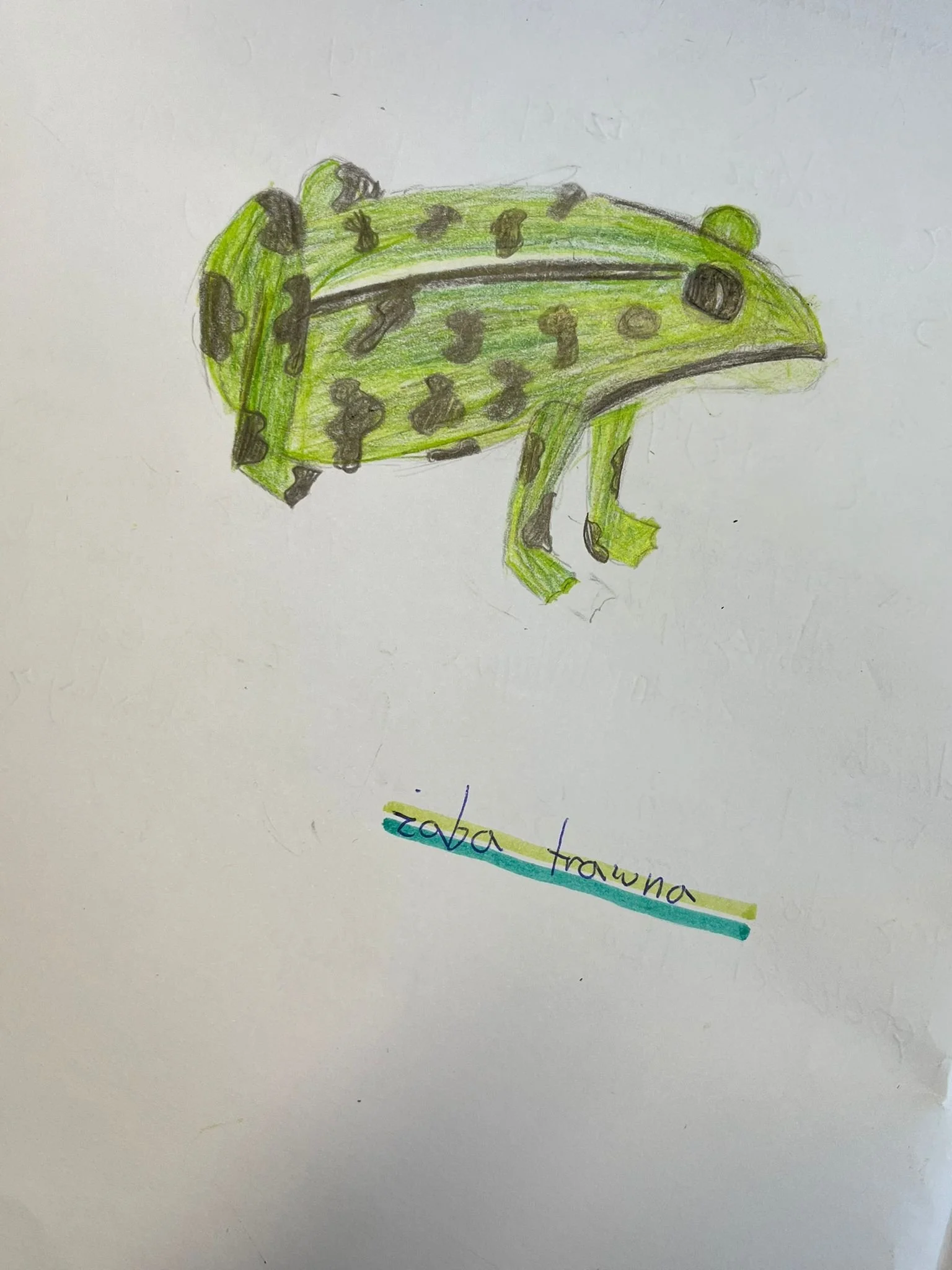 WhatsApp Image 2025-12-11 at 17.58.34s.jpeg