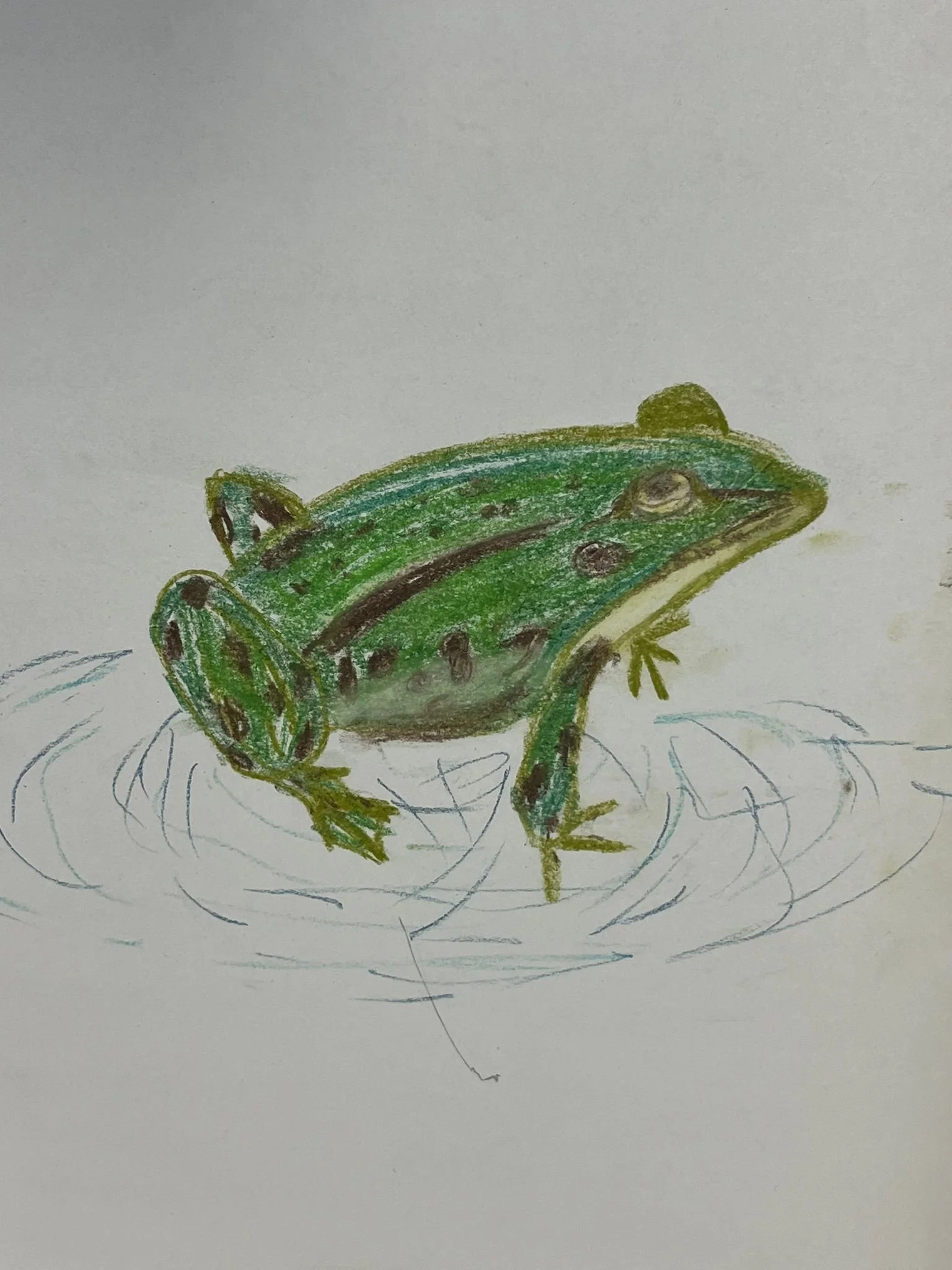 WhatsApp Image 2025-12-11 at 17.58.34ss.jpeg