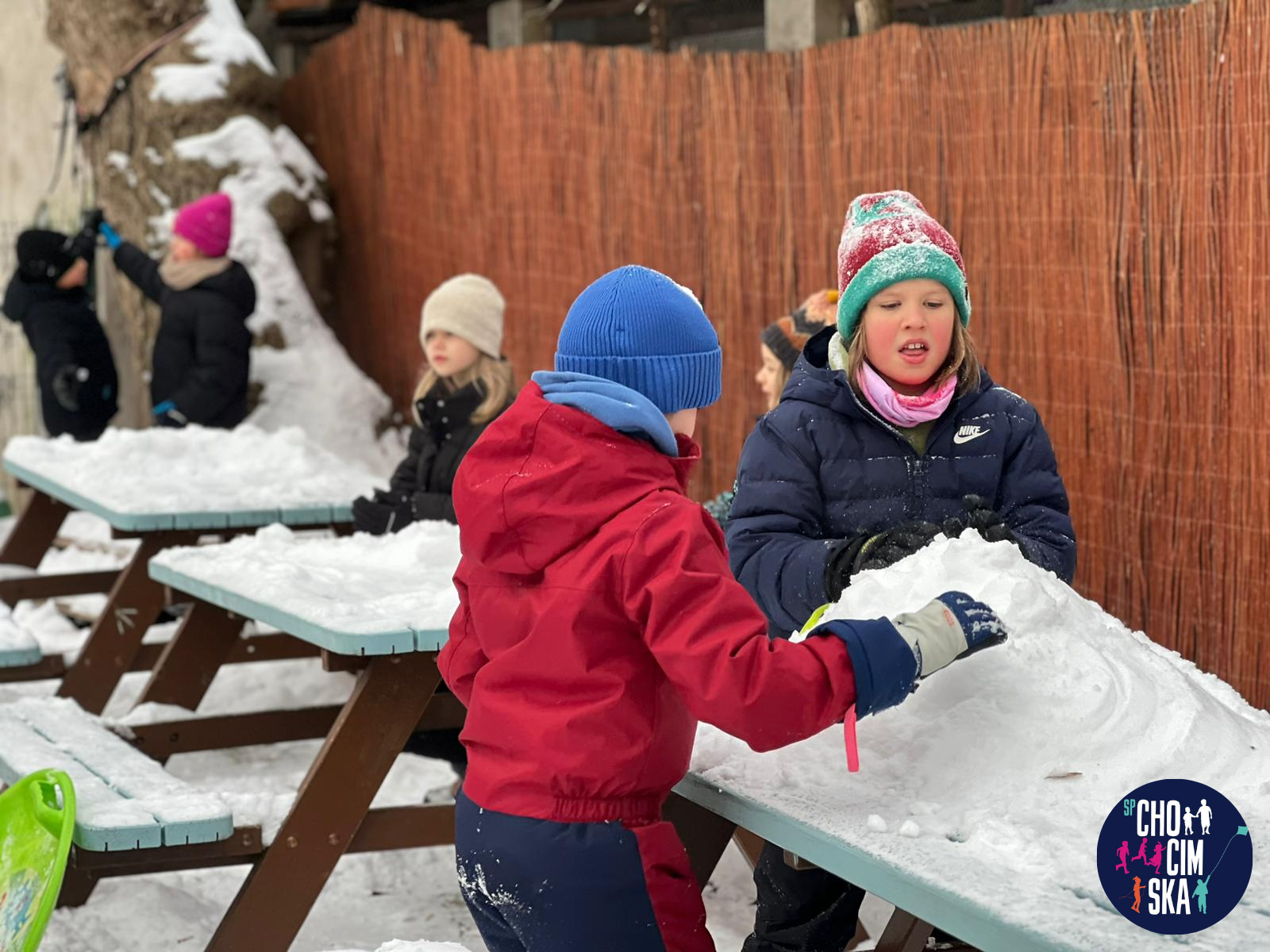 Projekt bez nazwy.png