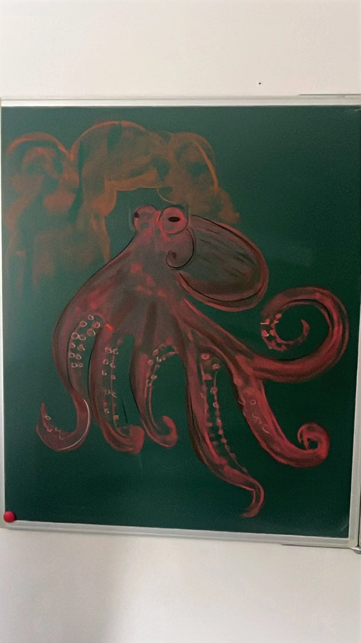 800066057_122139515811137369_7954819949365664196_n.jpg