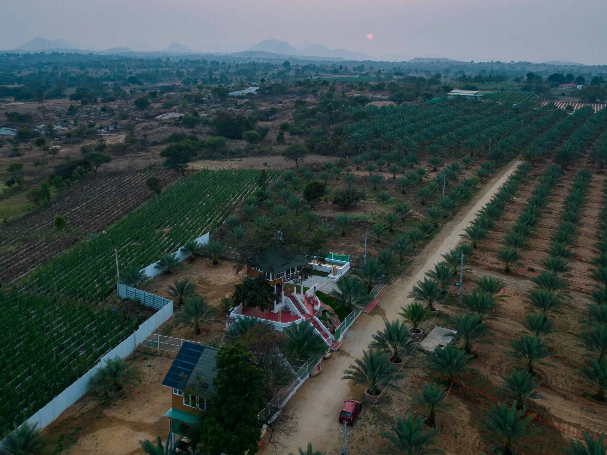 HABBA DATES VILLA3.jpg