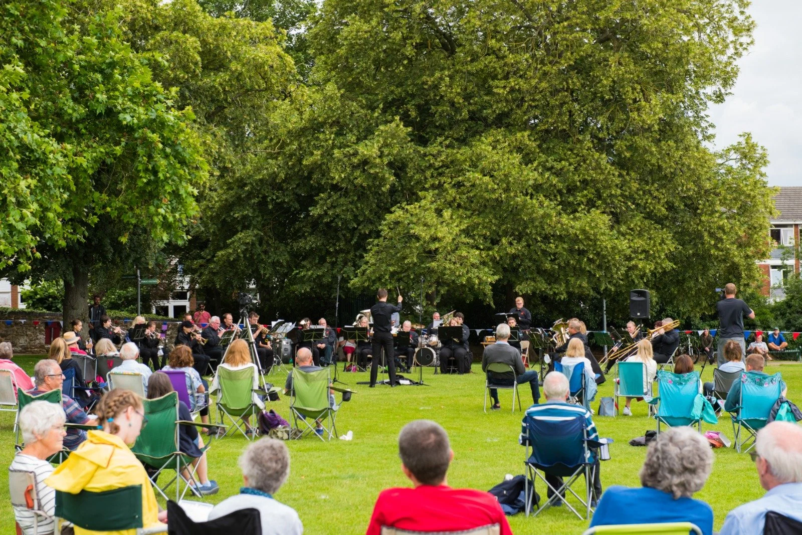 Playing in a field.jpg