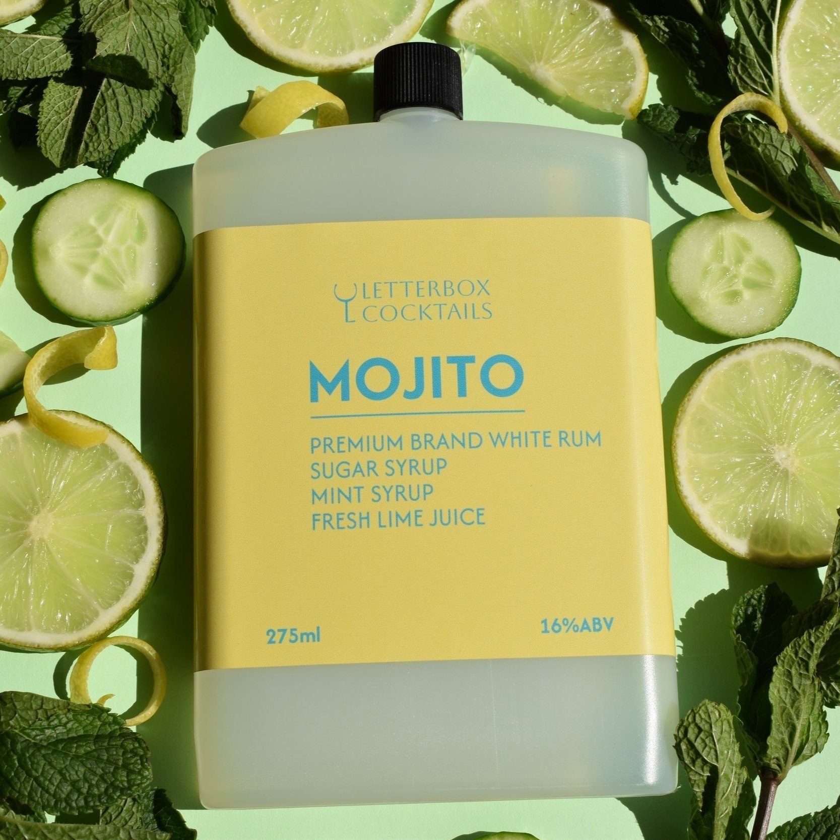 mojito+cropped.jpg