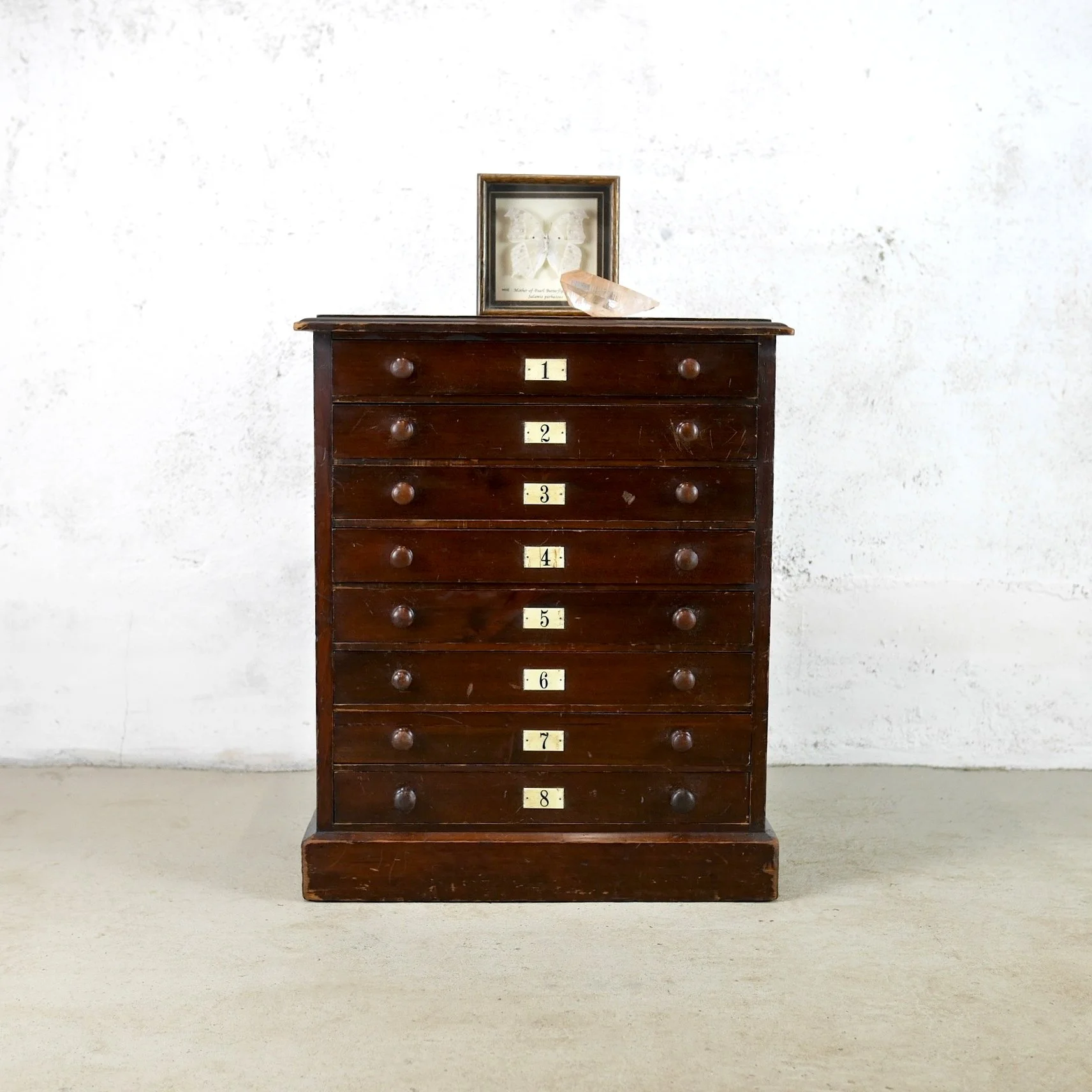 19TH CENTURY SPECIMEN CABINET