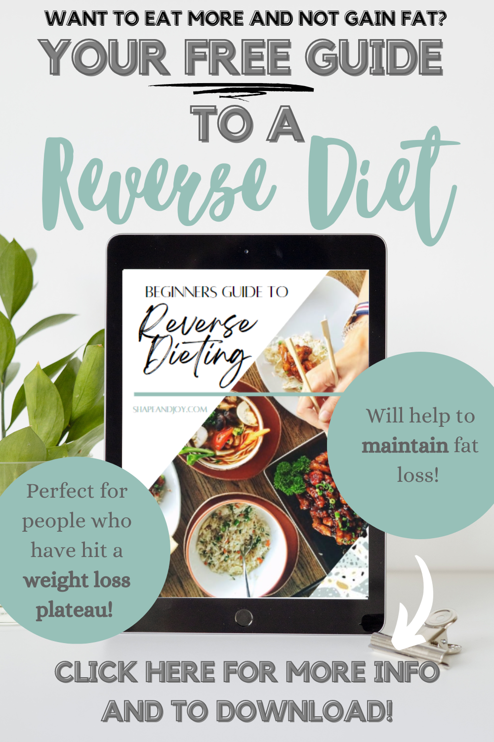 Burn Fat, Not Muscle How To Stay On Track With Your Fitness Goals