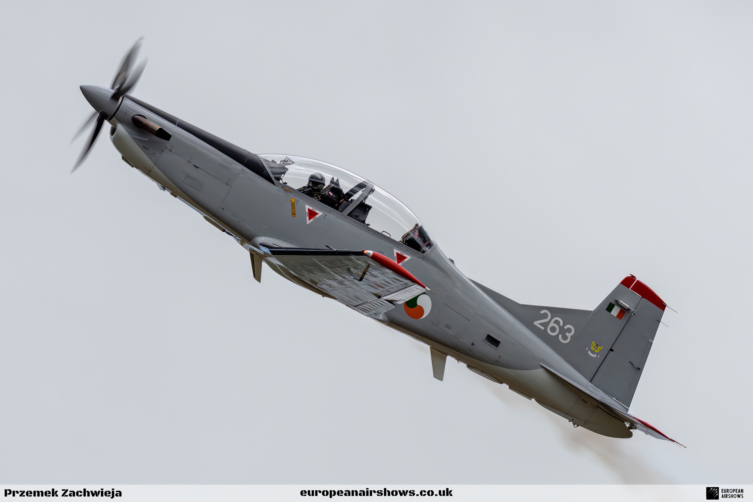 Birr Air Display 2023 Logo (33).png