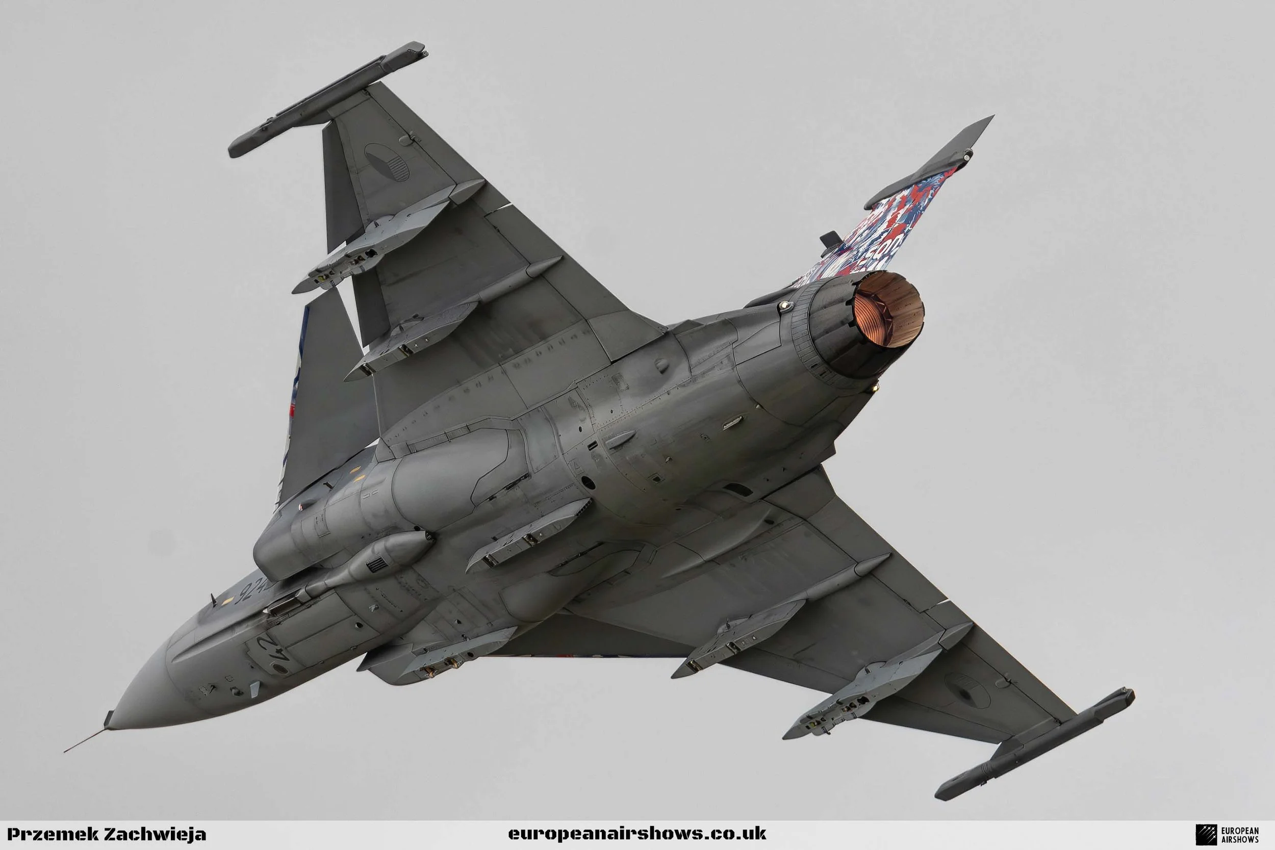 RIAT 2024 Sunday Logo (15).jpg