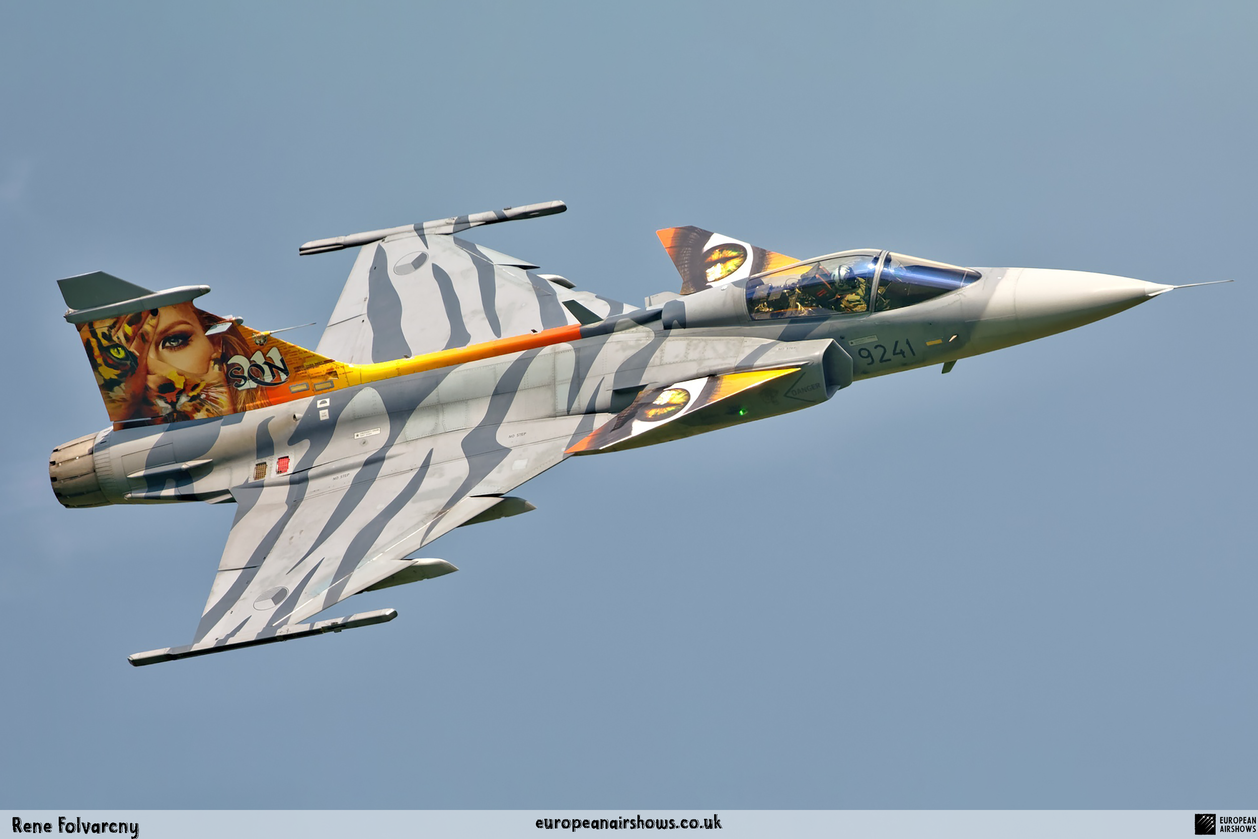Czech-Gripen-(2).png