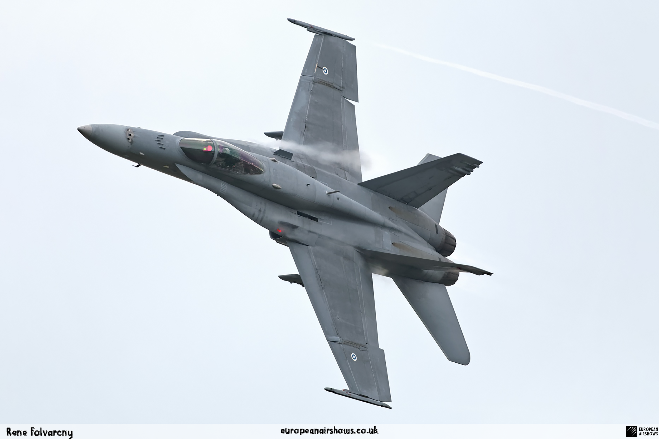 Finnish-Hornet-(4).png