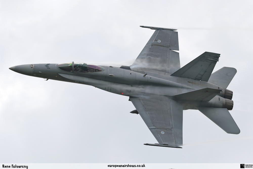 Finnish-Hornet-(5).png