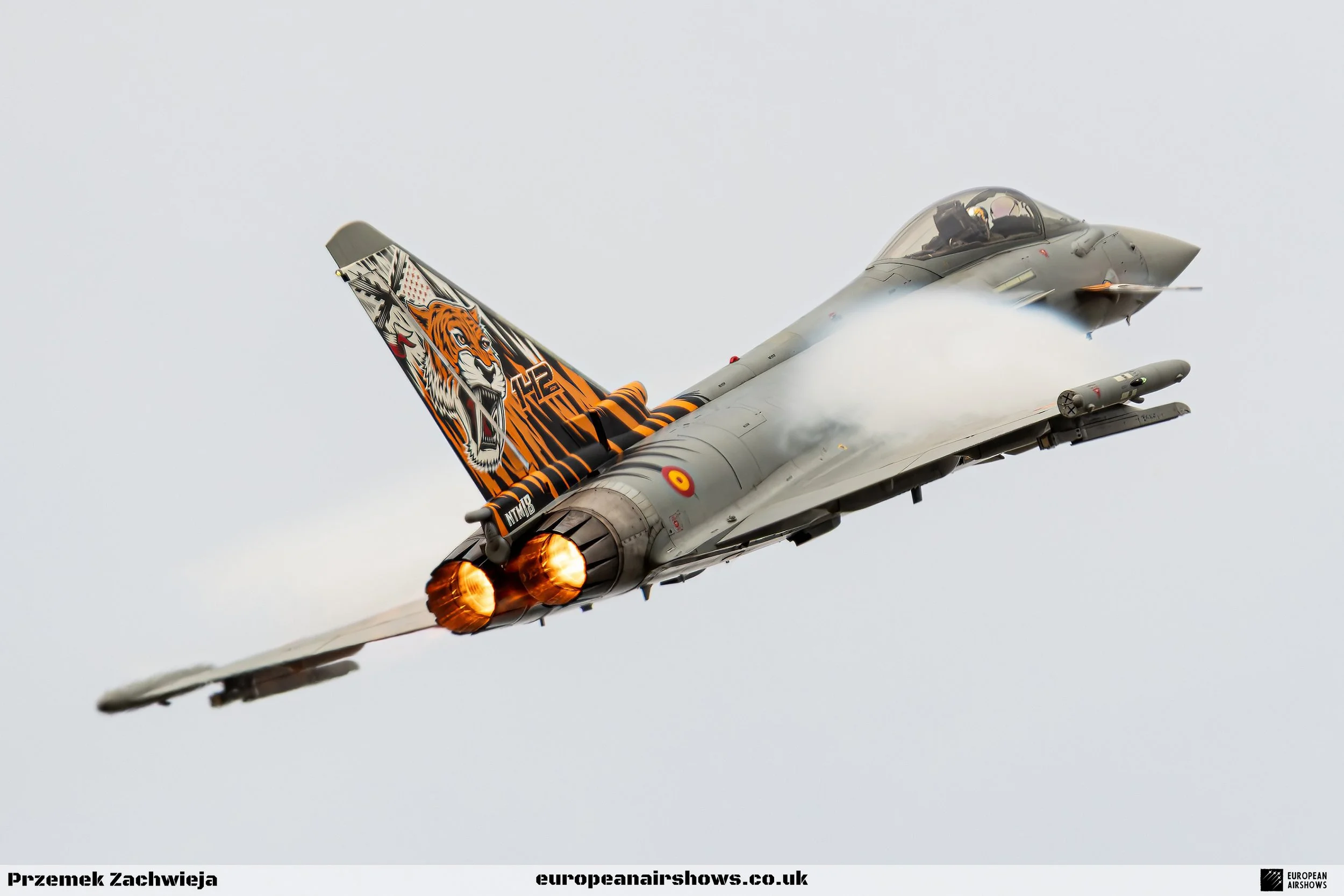 A fighter jet aircraft in flight, with afterburners ignited, featuring a tiger head design on the tail fin and a gray body.