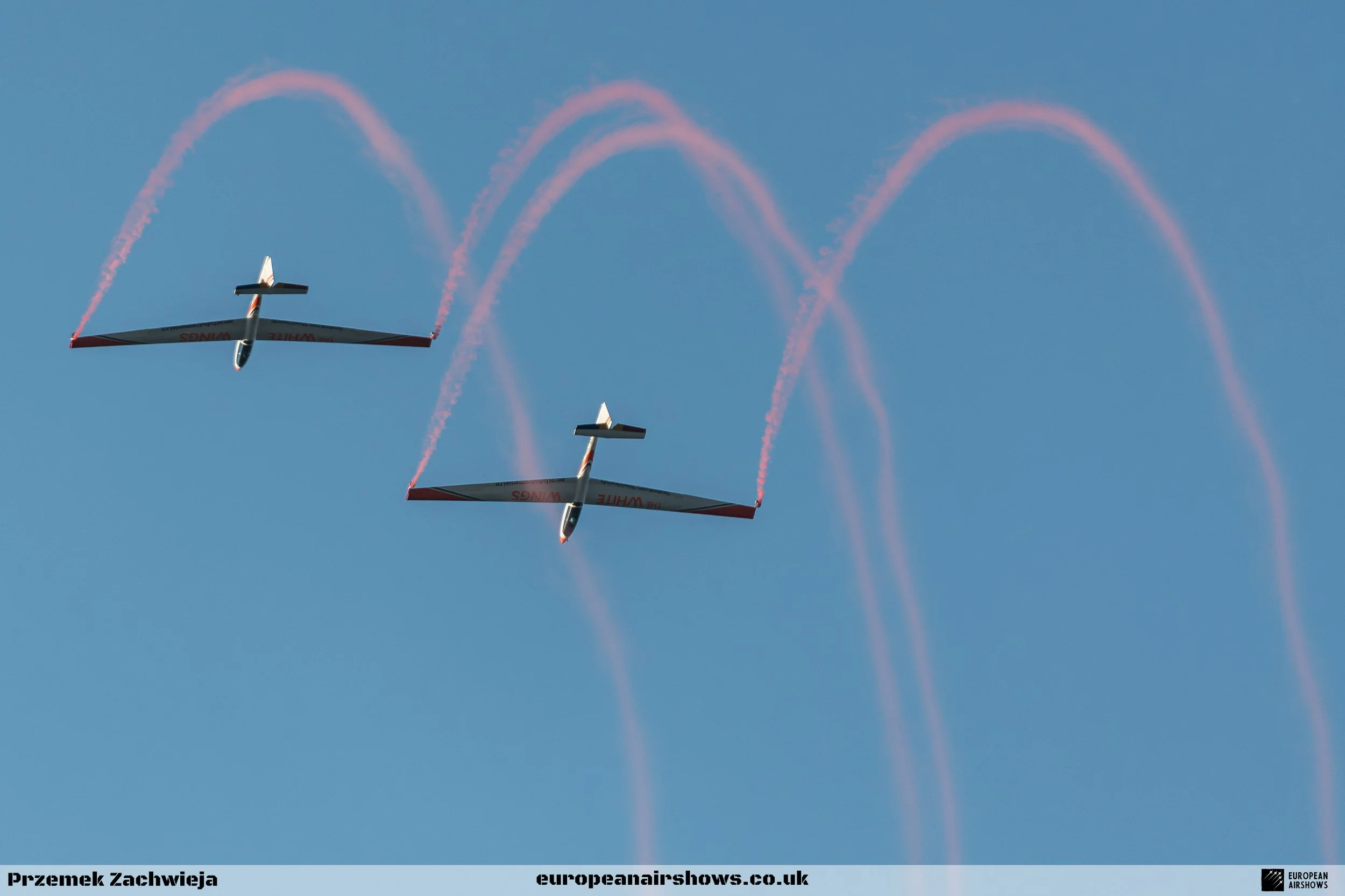 BIAS 2025 Saturday Logo (161).jpg