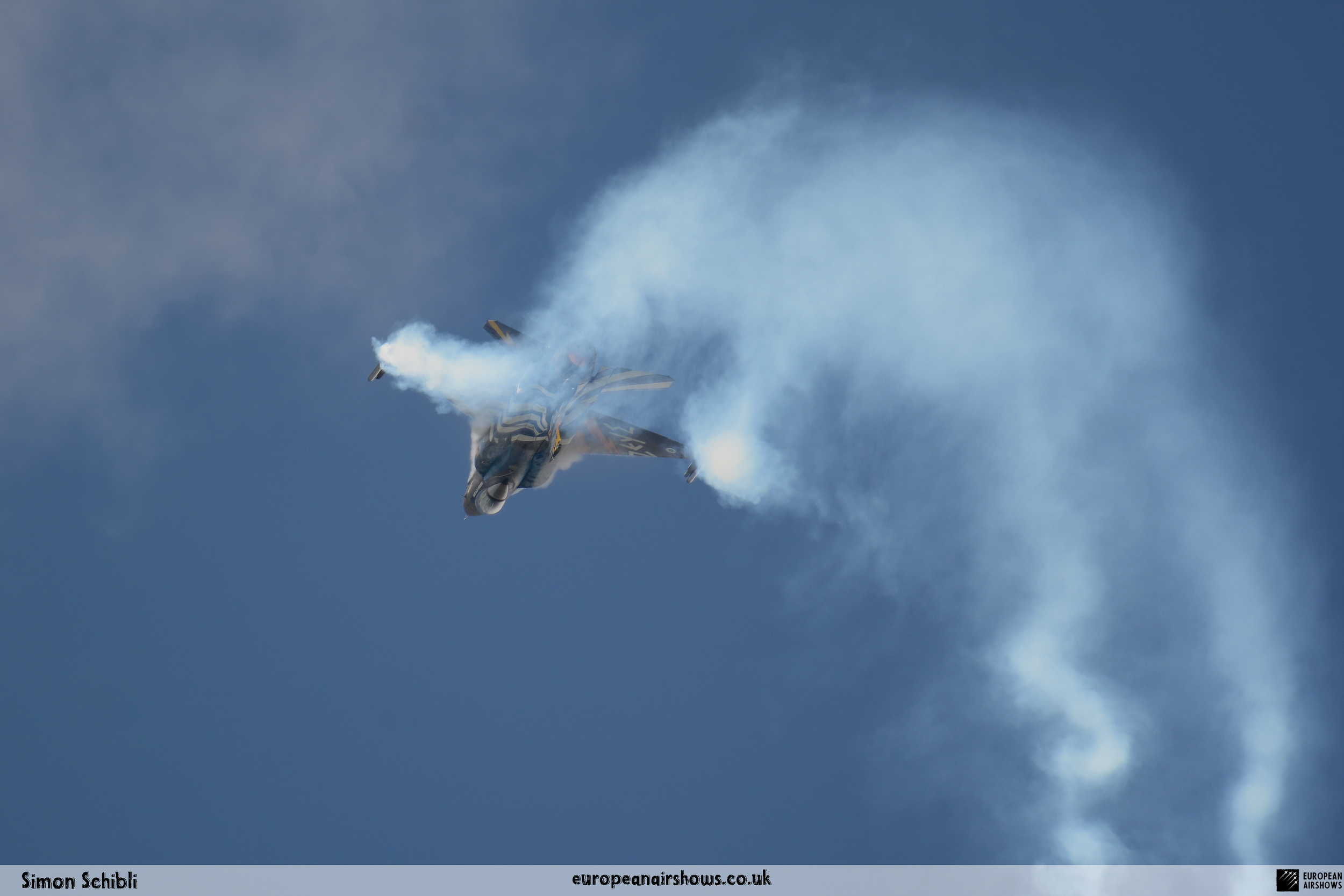 RIAT 2016 Logo (147).png
