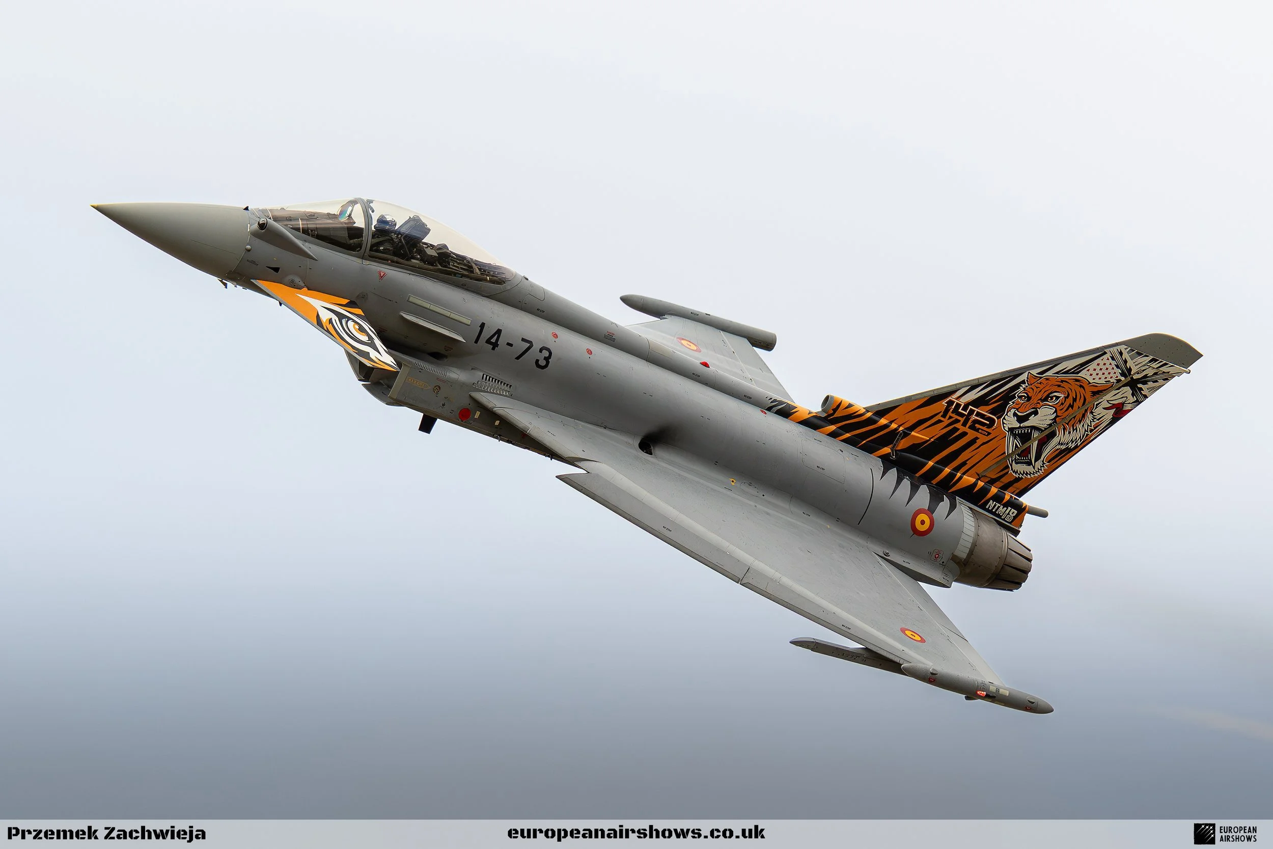A fighter jet flying in the sky with a tiger-themed design on its tail and side.