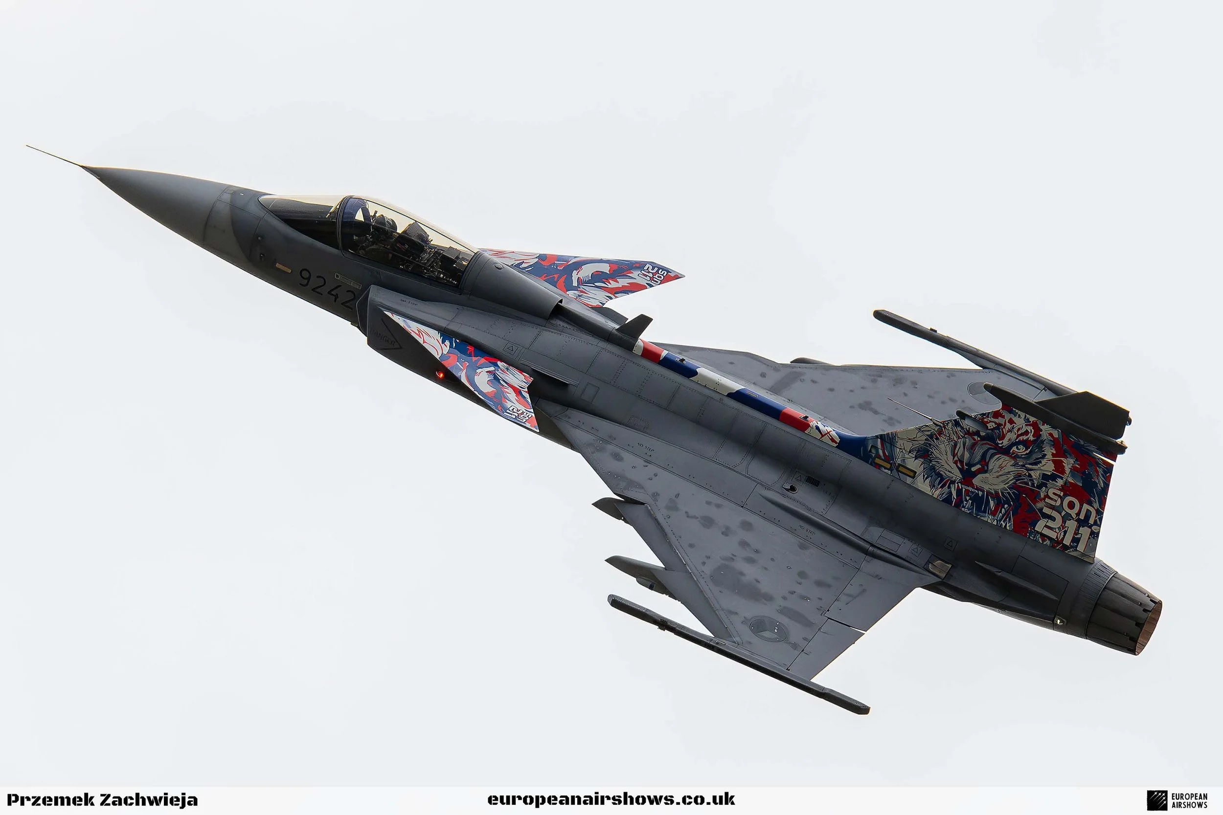 RIAT 2024 Saturday PZ Logo (12).jpg