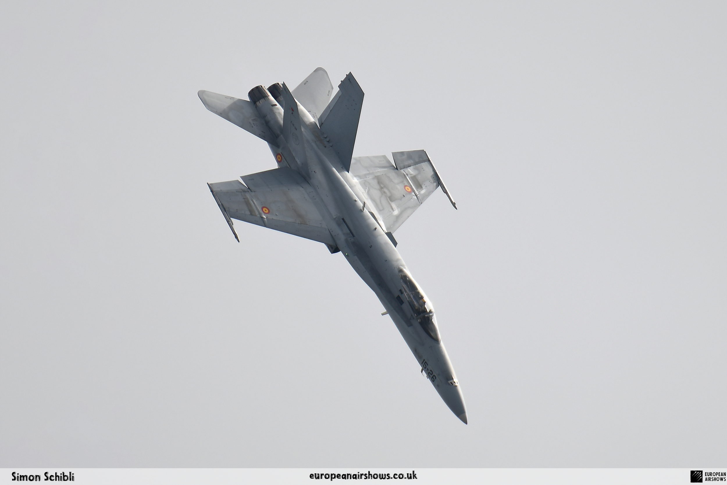 RIAT 2017 Logo (333).png
