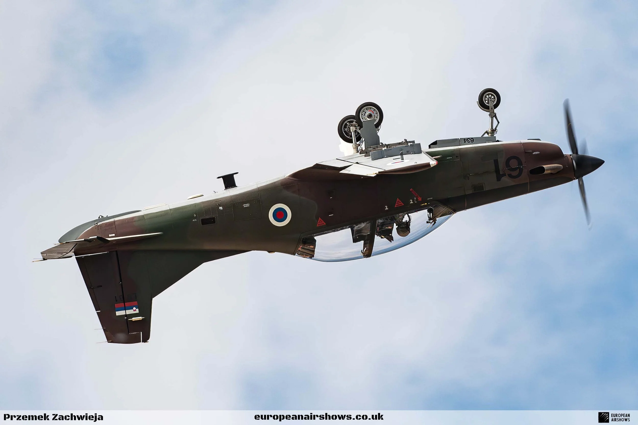 RIAT 2024 Sunday Logo (189).jpg