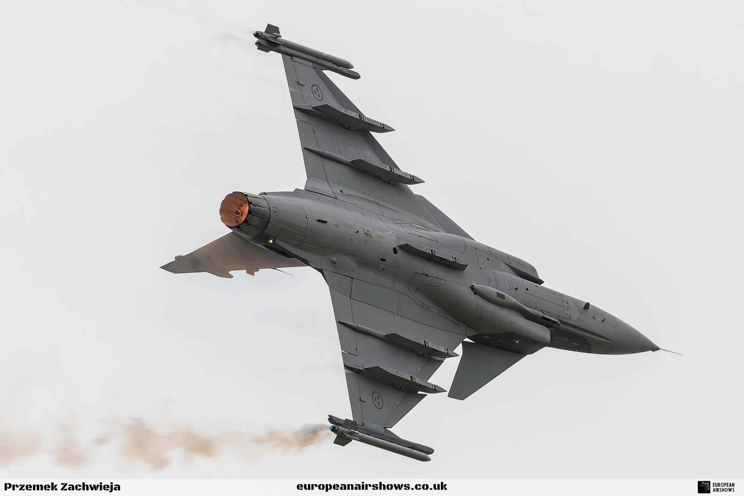 RIAT 2024 Saturday PZ Logo (76).jpg