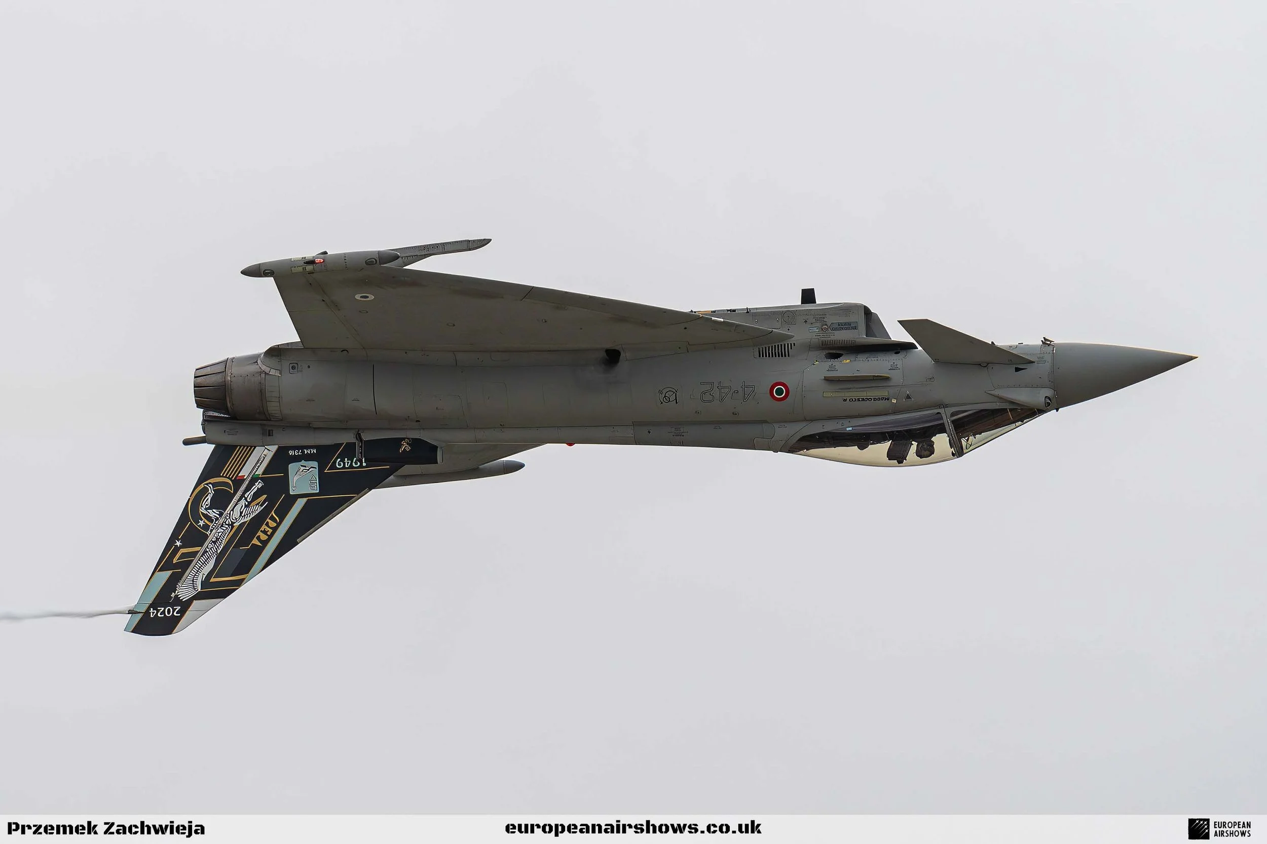 RIAT 2024 Sunday Logo (31).jpg
