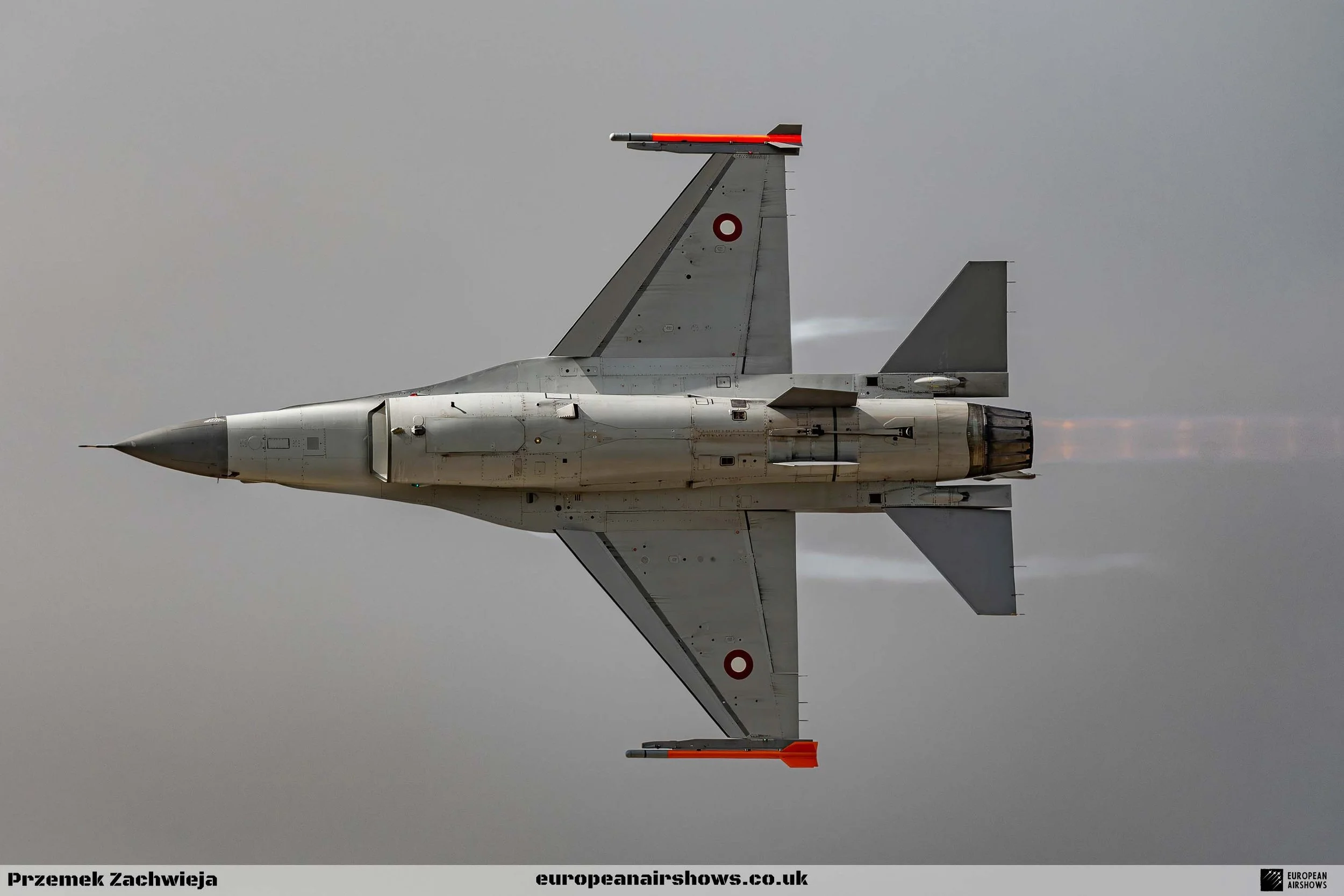RIAT 2024 Sunday Logo (163).jpg