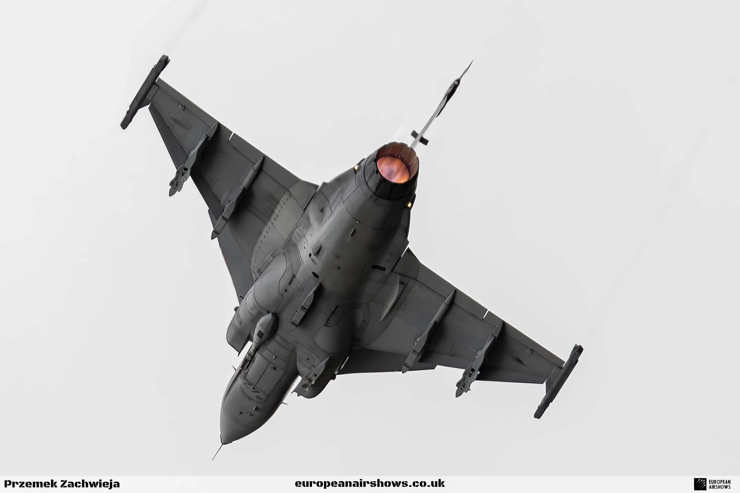 RIAT 2024 Saturday PZ Logo (13).jpg