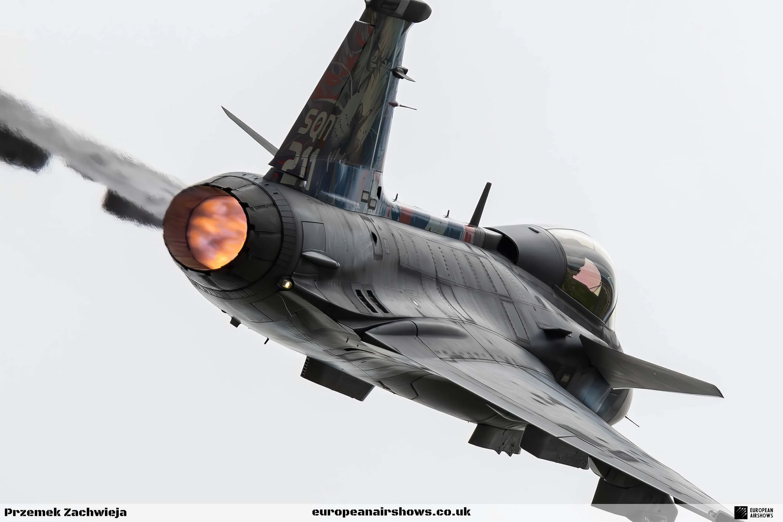 RIAT 2024 Saturday PZ Logo (16).jpg