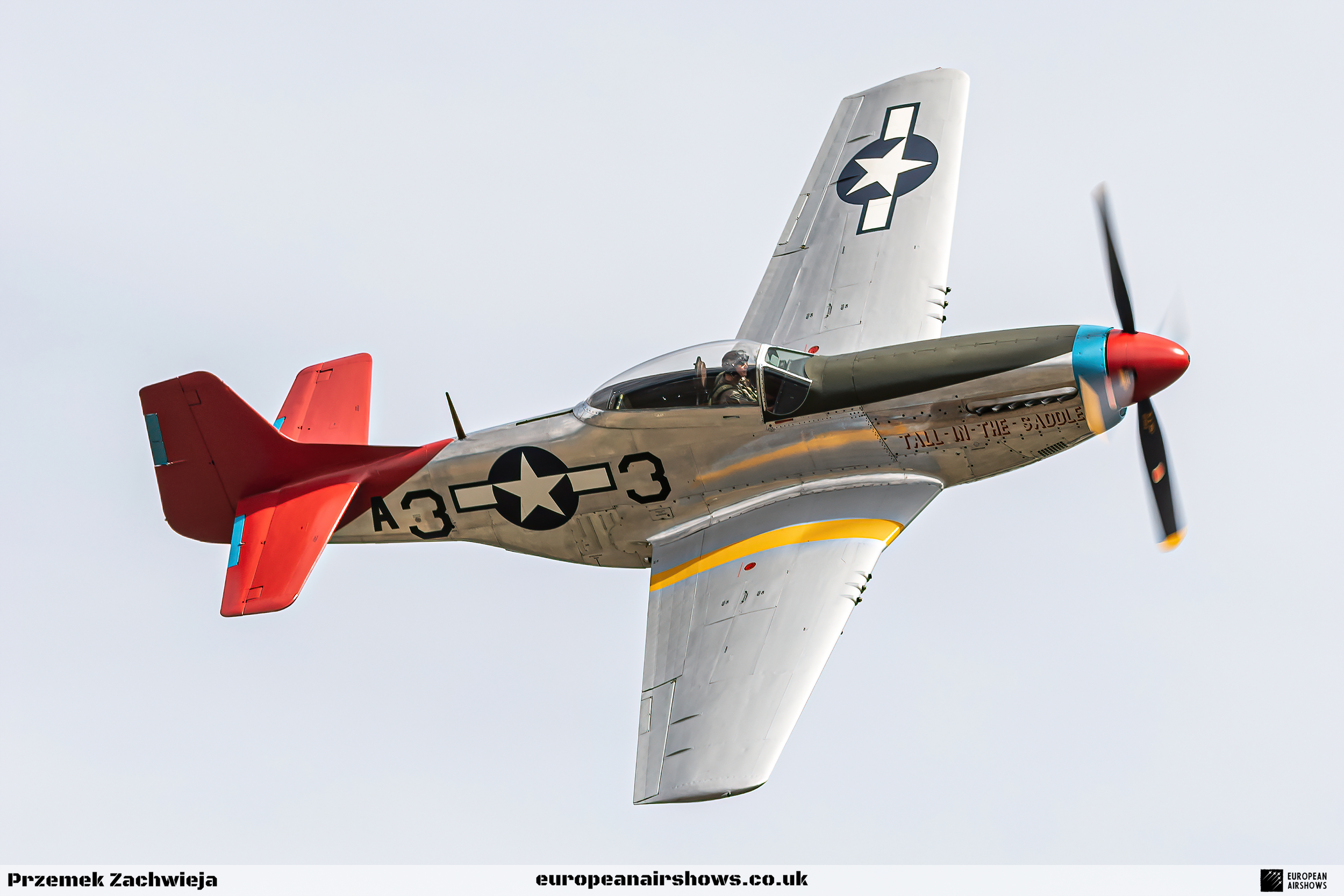 EA Shuttleworth 2022 Logo (28).png