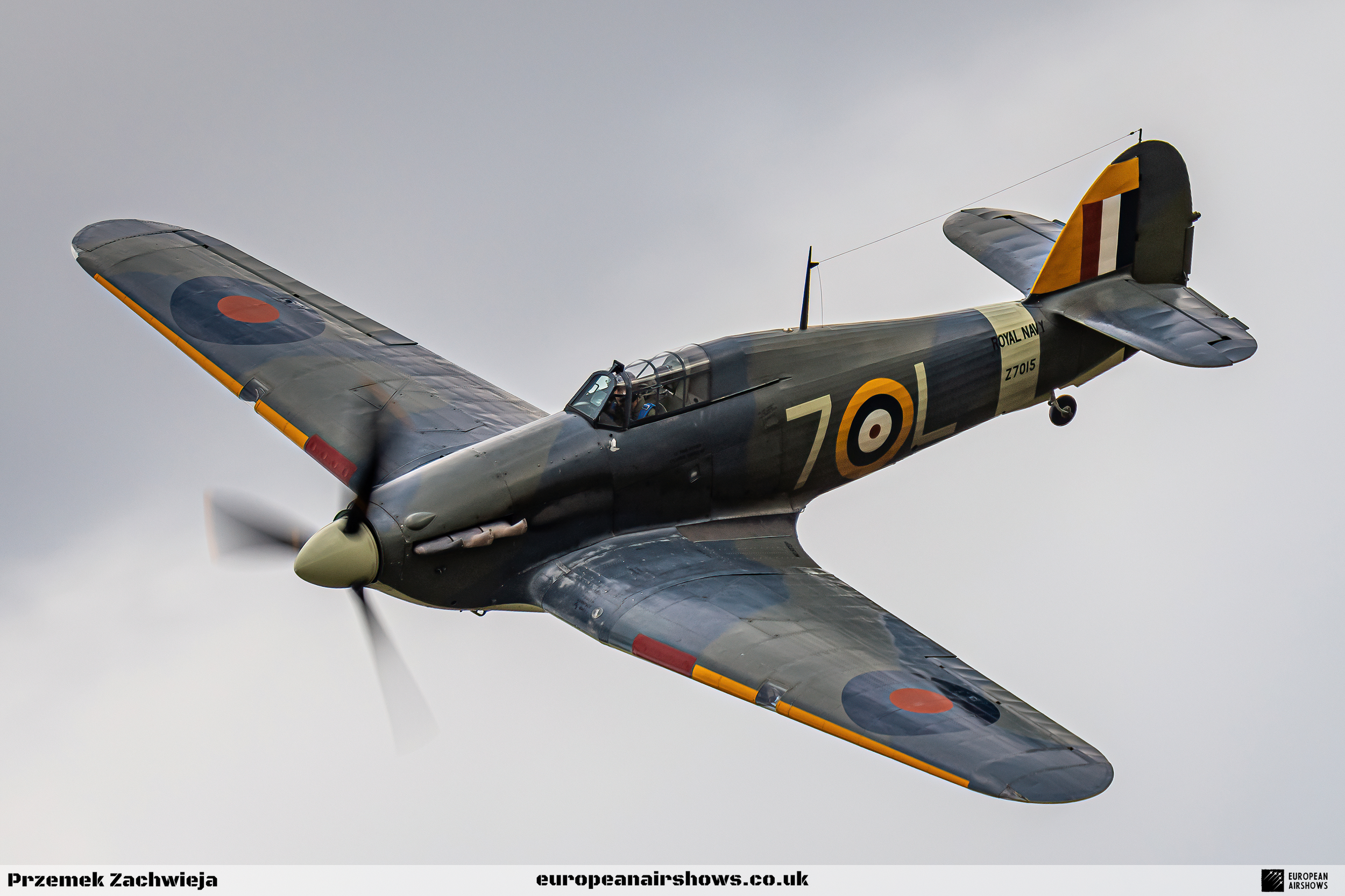 EA Shuttleworth 2022 Logo (99).png